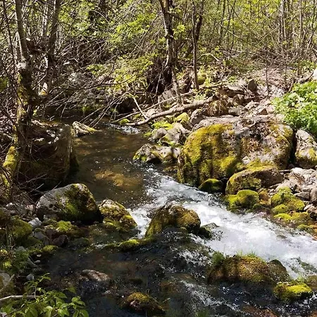 Vikendica Izvor * Podgorica