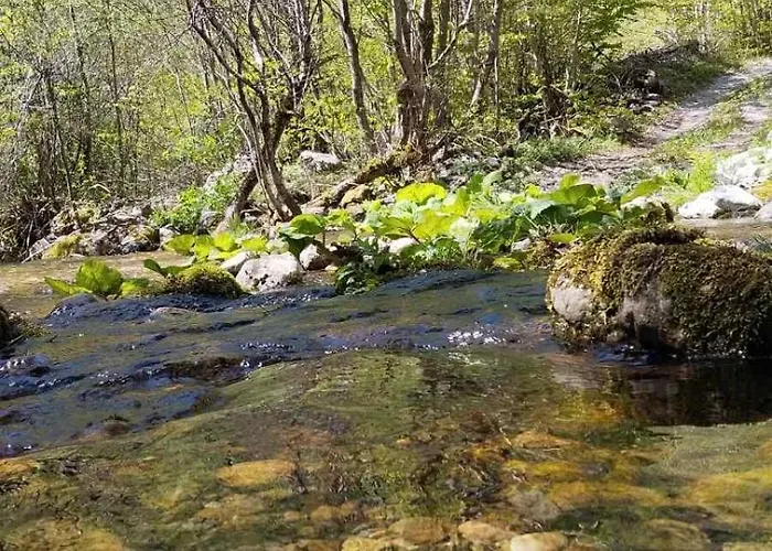 Vikendica Izvor Tatil Evi *