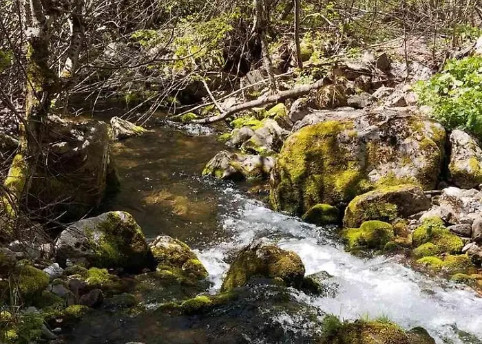 Vikendica Izvor * Podgorica