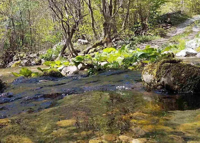 Vikendica Izvor Nyaraló Podgorica